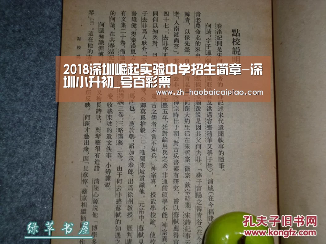 2018深圳崛起实验中学招生简章-深圳小升初_号百彩票(图2) 号百彩票