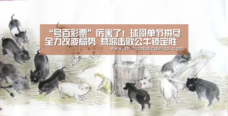 号百彩票