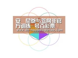 安東尼参与篮网非官方训练-号百彩票(图2) 号百彩票