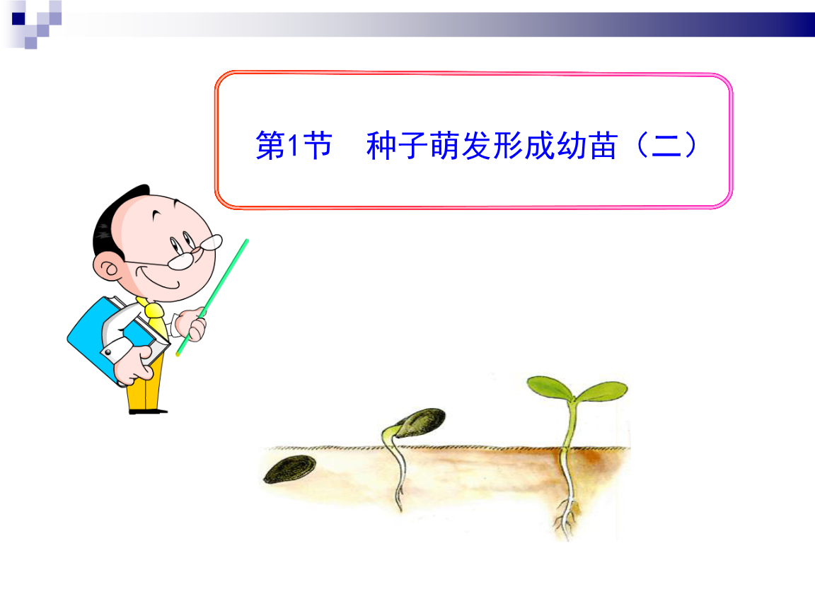 ‘号百彩票’《三时三餐》金光圭与朴信惠亲密 向泽演说对不起(图1) 号百彩票