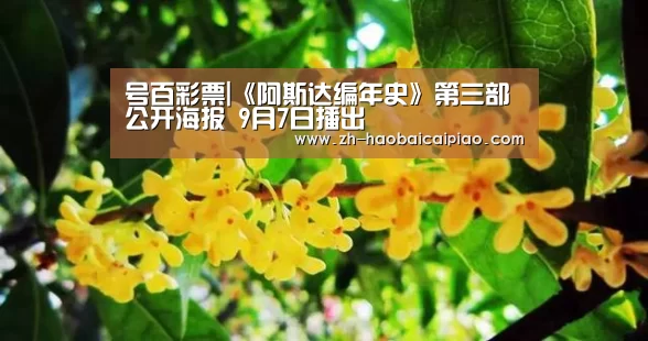 号百彩票